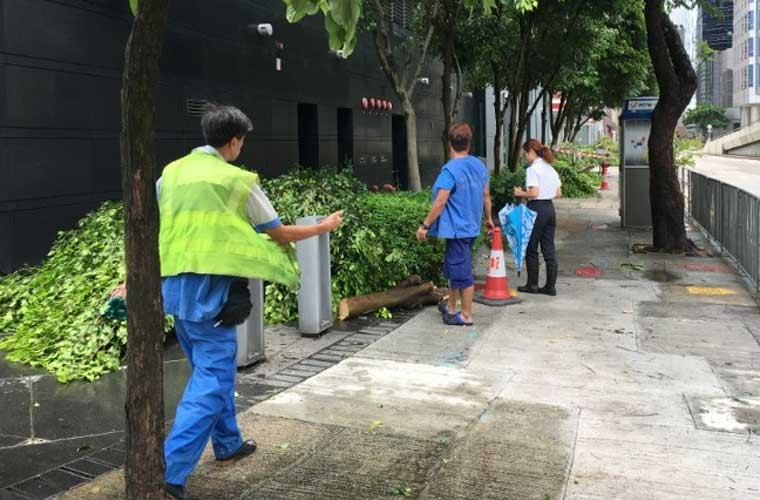 Chum anh bao Nida do bo vao Hong Kong, Quang Dong-Hinh-7